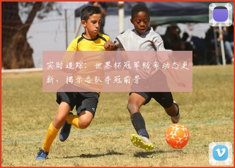 实时追踪：世界杯冠军赔率动态更新，揭示各队夺冠前景