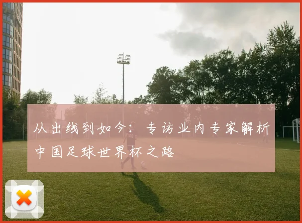 从出线到如今：专访业内专家解析中国足球世界杯之路