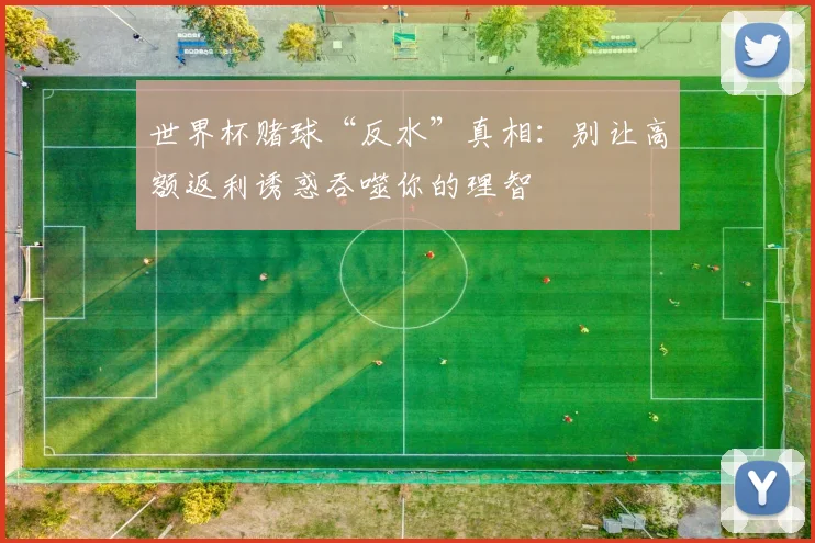世界杯赌球“反水”真相：别让高额返利诱惑吞噬你的理智