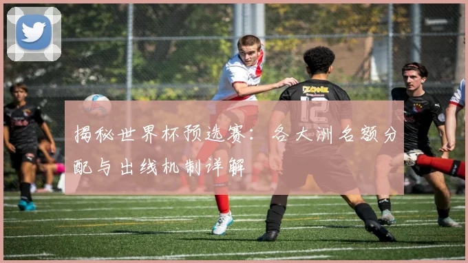 揭秘世界杯预选赛：各大洲名额分配与出线机制详解