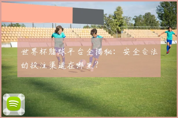 世界杯赌球平台全揭秘：安全合法的投注渠道在哪里？