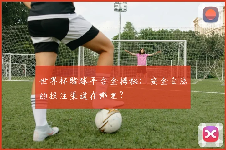 世界杯赌球平台全揭秘：安全合法的投注渠道在哪里？