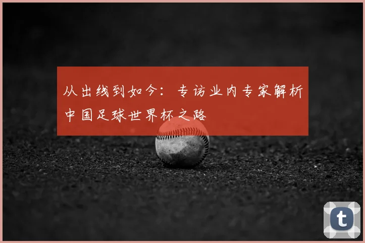 从出线到如今：专访业内专家解析中国足球世界杯之路