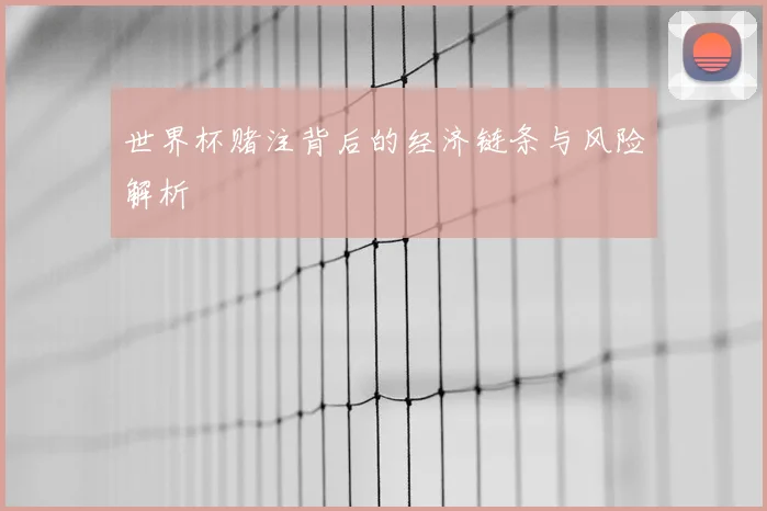 世界杯赌注背后的经济链条与风险解析