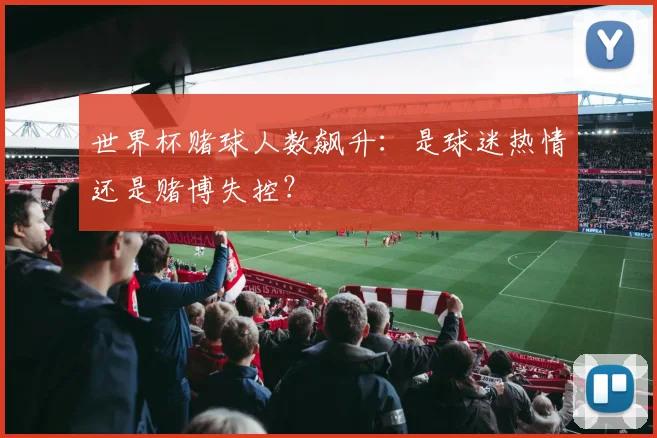 世界杯赌球人数飙升：是球迷热情还是赌博失控？