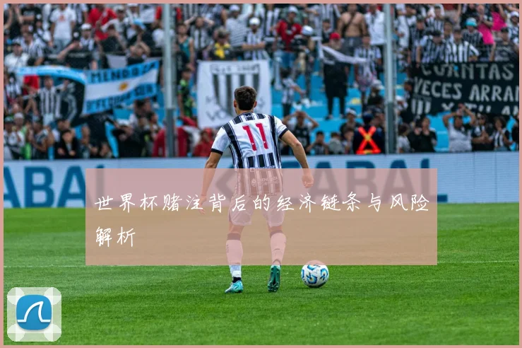 世界杯赌注背后的经济链条与风险解析
