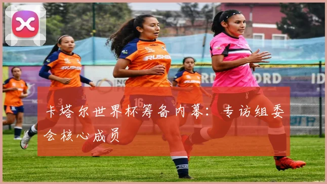 卡塔尔世界杯筹备内幕：专访组委会核心成员