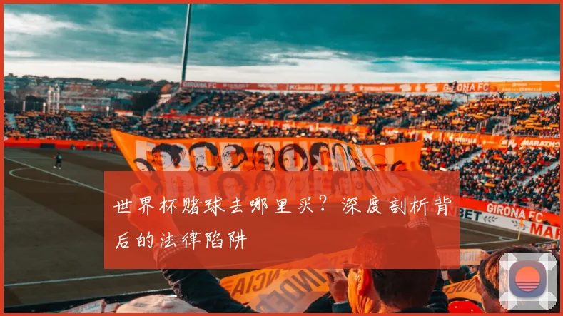 世界杯赌球去哪里买？深度剖析背后的法律陷阱
