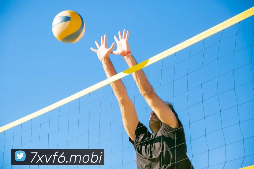 开云手机在线官网登录平台生态图