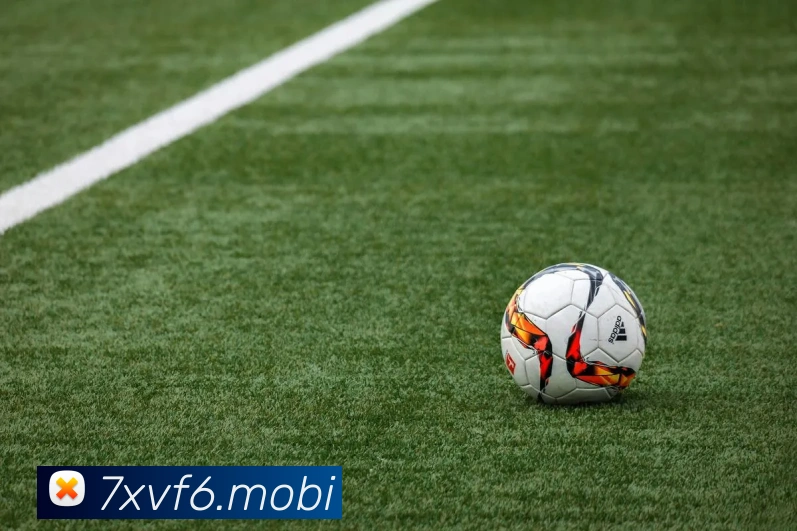 辅助工具 辅助工具